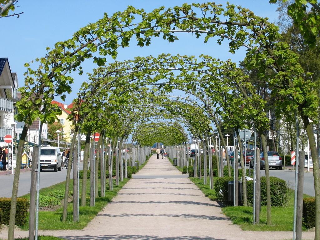 Traumferienwohnung Ostseebad Baabe - Ruegen Номер фото